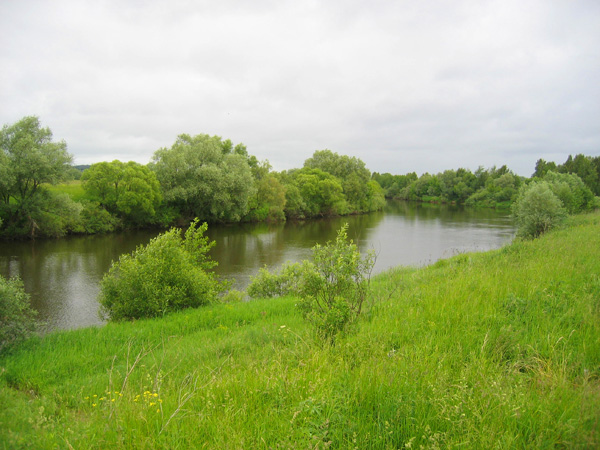 Река Жиздра