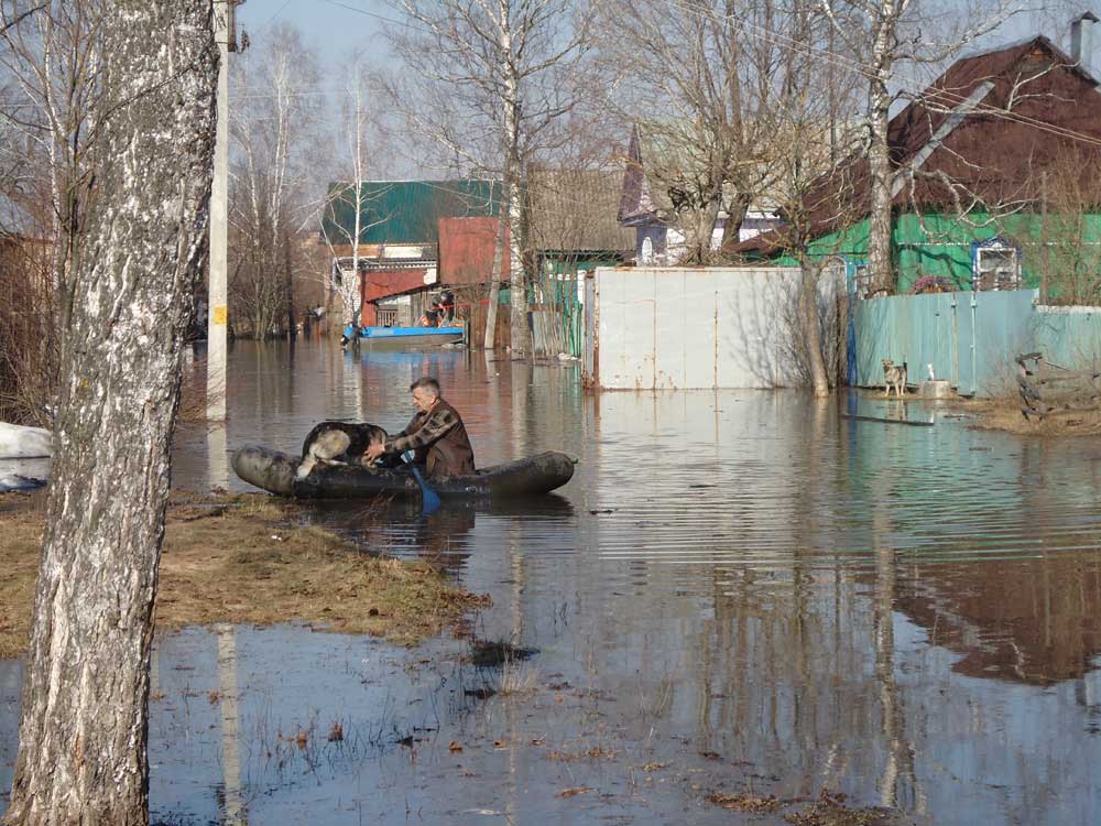 Козельск-Оптина-паводок2013